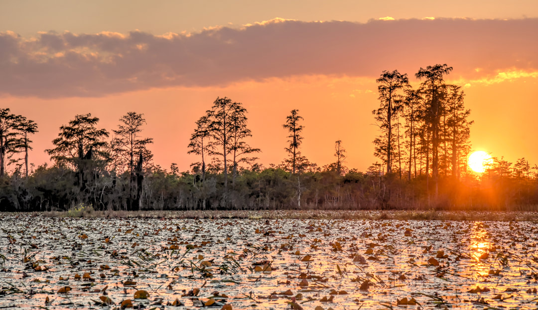 Okefenokee Swamp Grand Prairie Sunset Picture
