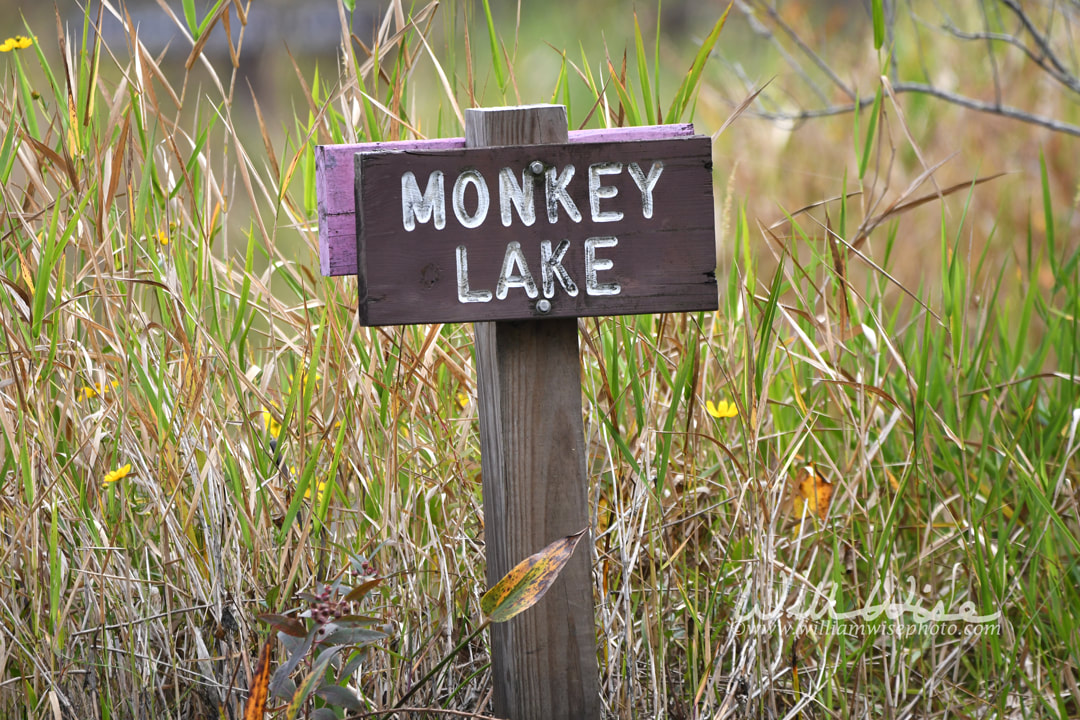 Okefenokee Monkey Lake Sign Picture