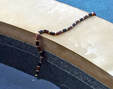 Texas Coral Snake Picture