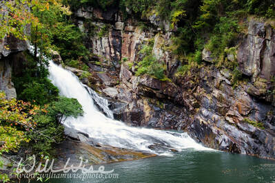 Tallulah Gorge State Park Picture